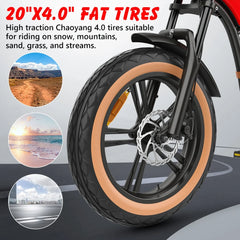 Hidoes B10 Electric Mountain Bike for Men/Woman 1000W Adult Electric Bicycle 20" Fat Tire Off Road E - Bike with Removable Battery up to 28 Mph, Free Shipping, Red