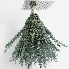 20 Pcs Eucalyptus for Shower Hanging Dried Eucalyptus Stems 17" Real Eucalyptus 100% Made from Fresh Eucalyptus Leaves,Wedding Decor Home Decor